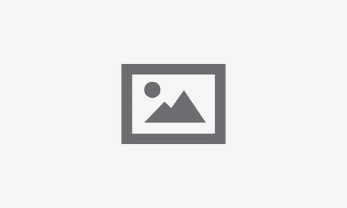Privacy Policy – Rigel Perkasa Mandiri