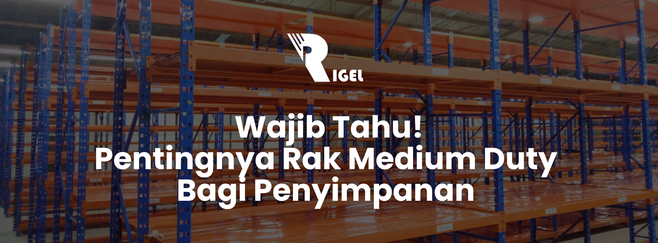 Wajib Tahu! Pentingnya Rak Medium Duty Bagi Penyimpanan