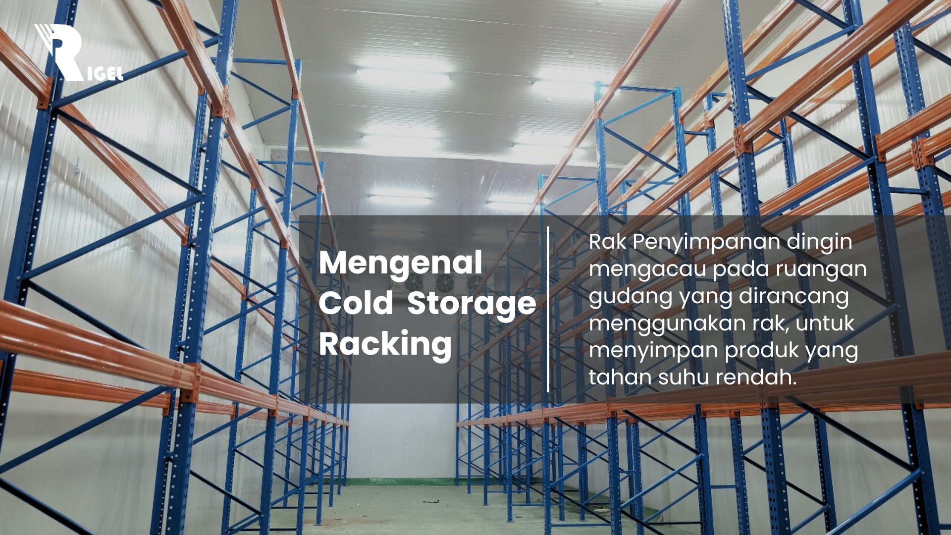 Mengenal Cold Storage Racking
