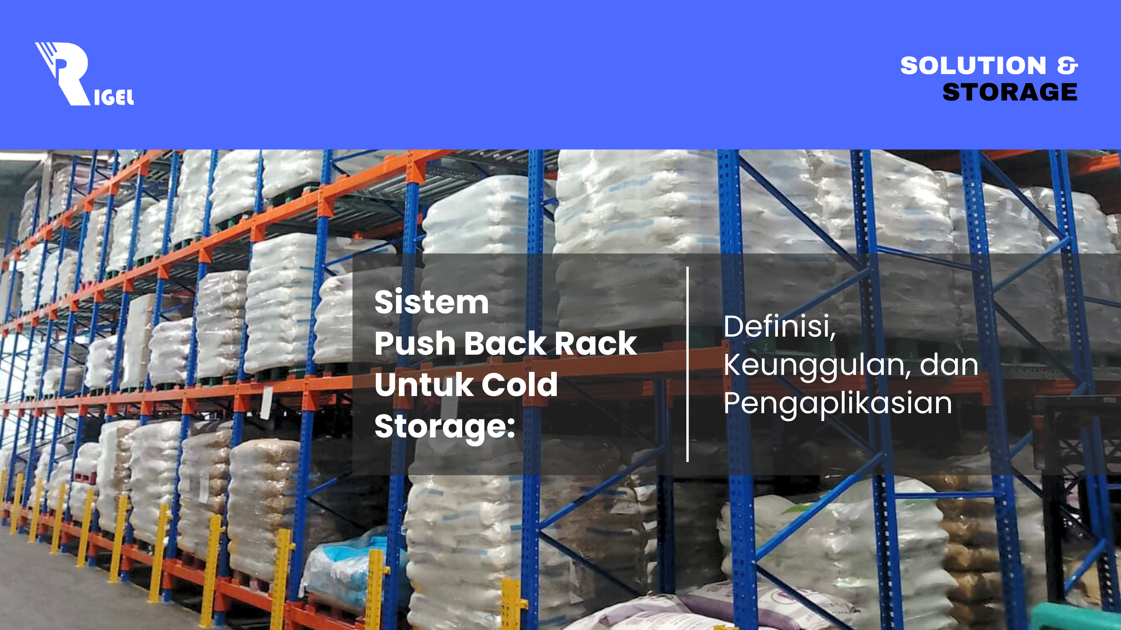 Sistem Push Back Rack Untuk Cold Storage: Definisi, Keunggulan, dan Pengaplikasian