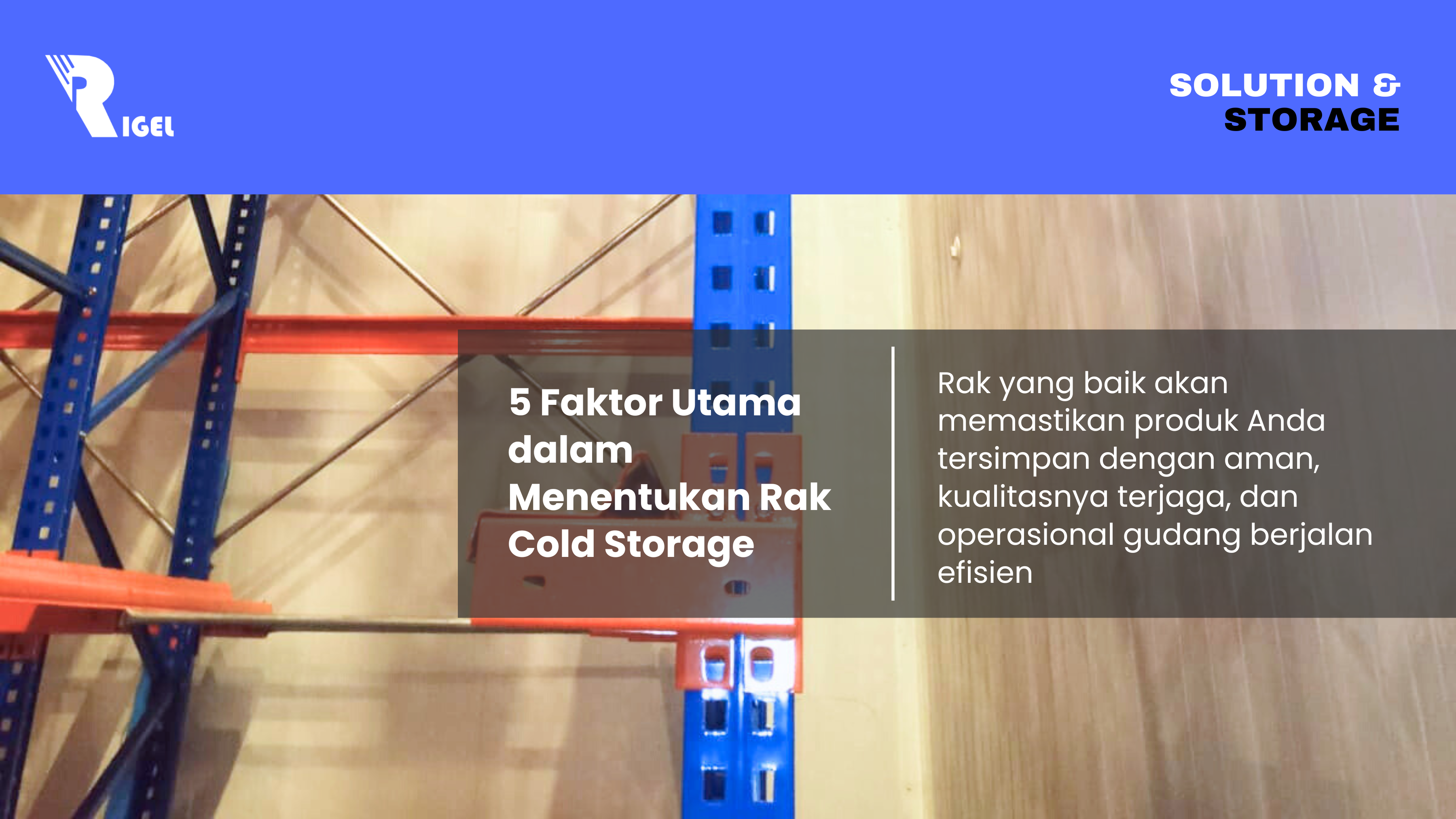 5 Faktor Utama dalam Menentukan Rak Cold Storage