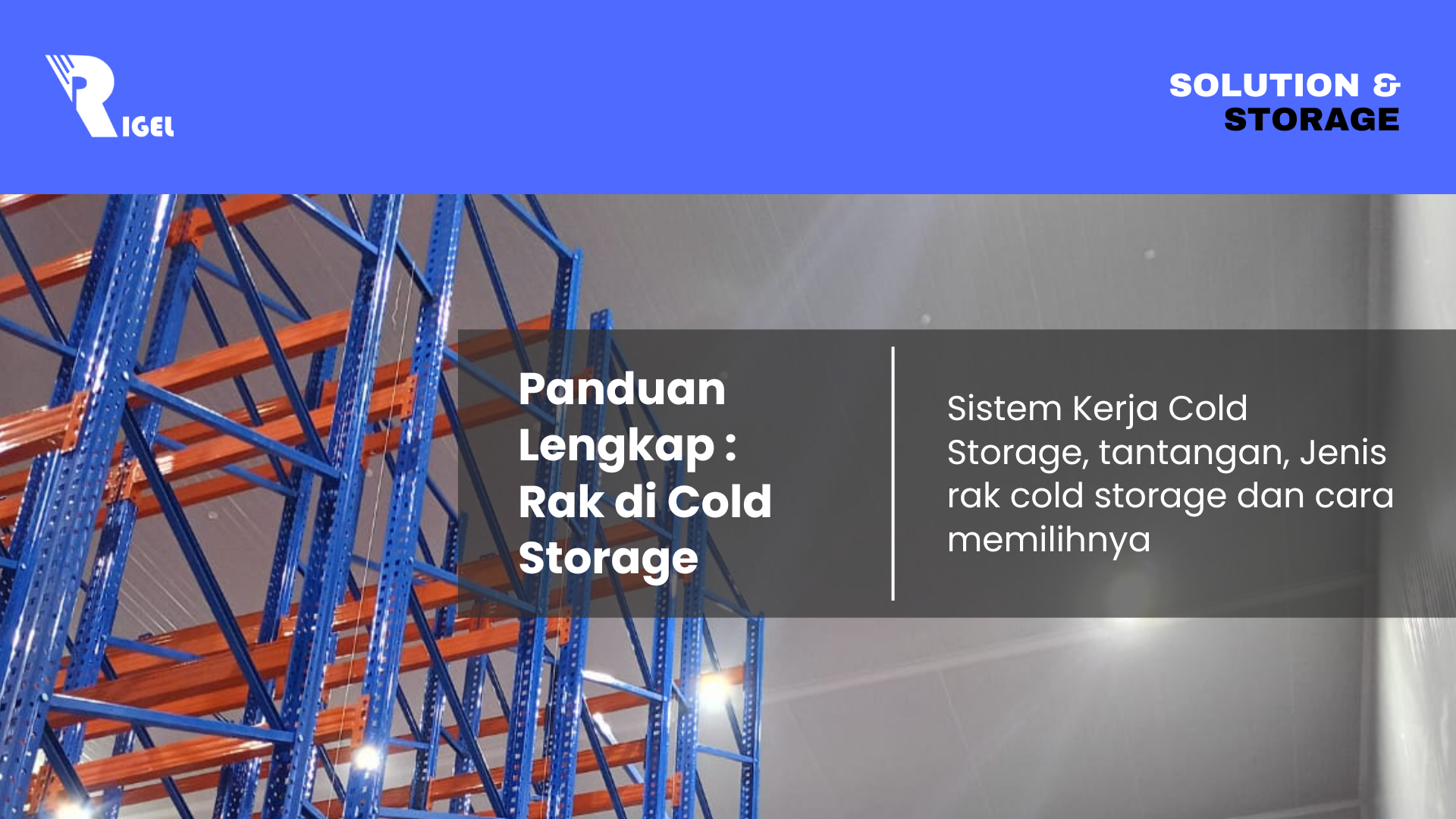 Panduan Lengkap : Rak di Cold Storage