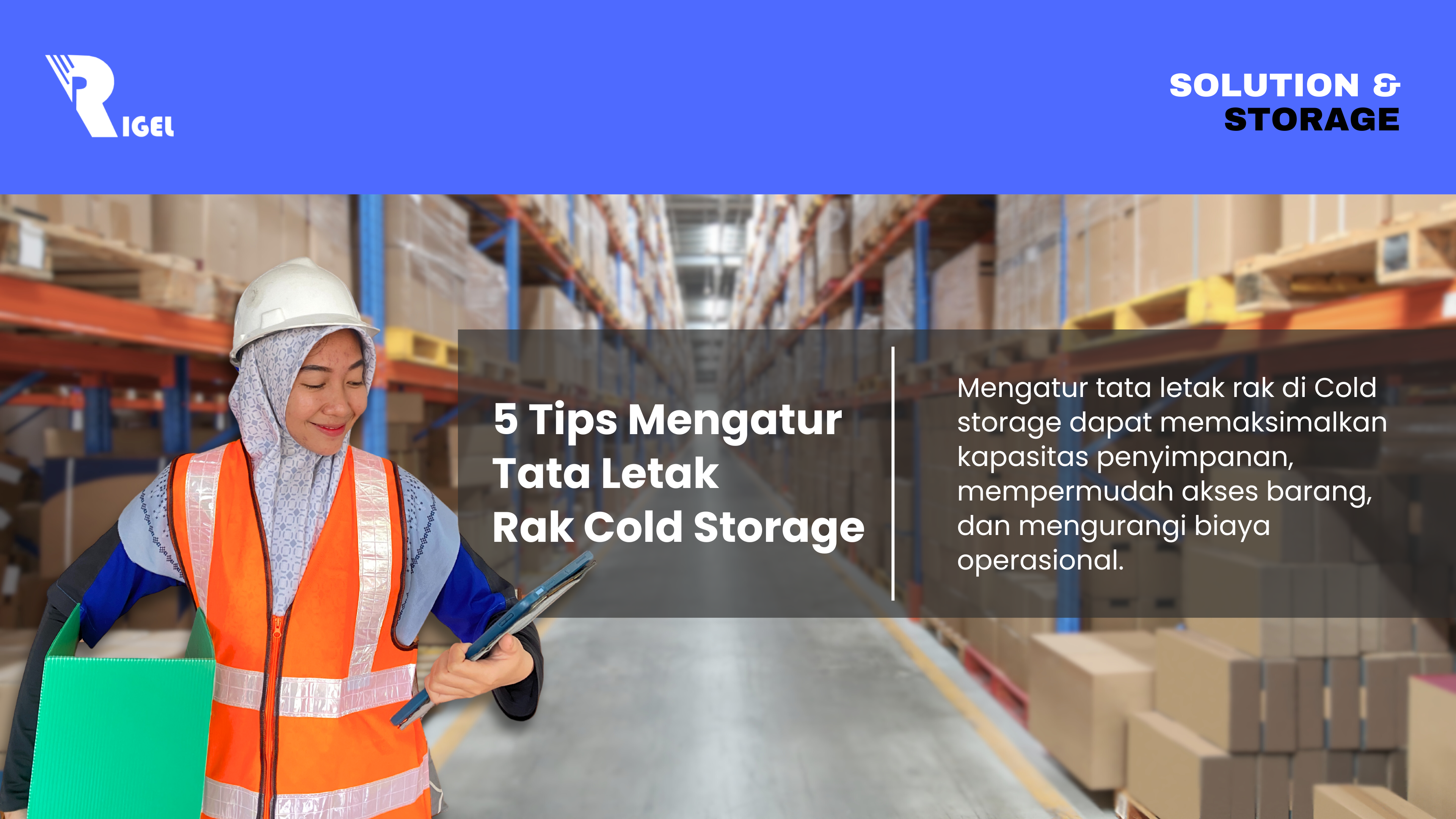 5 Tips Mengatur Tata Letak Rak Cold Storage