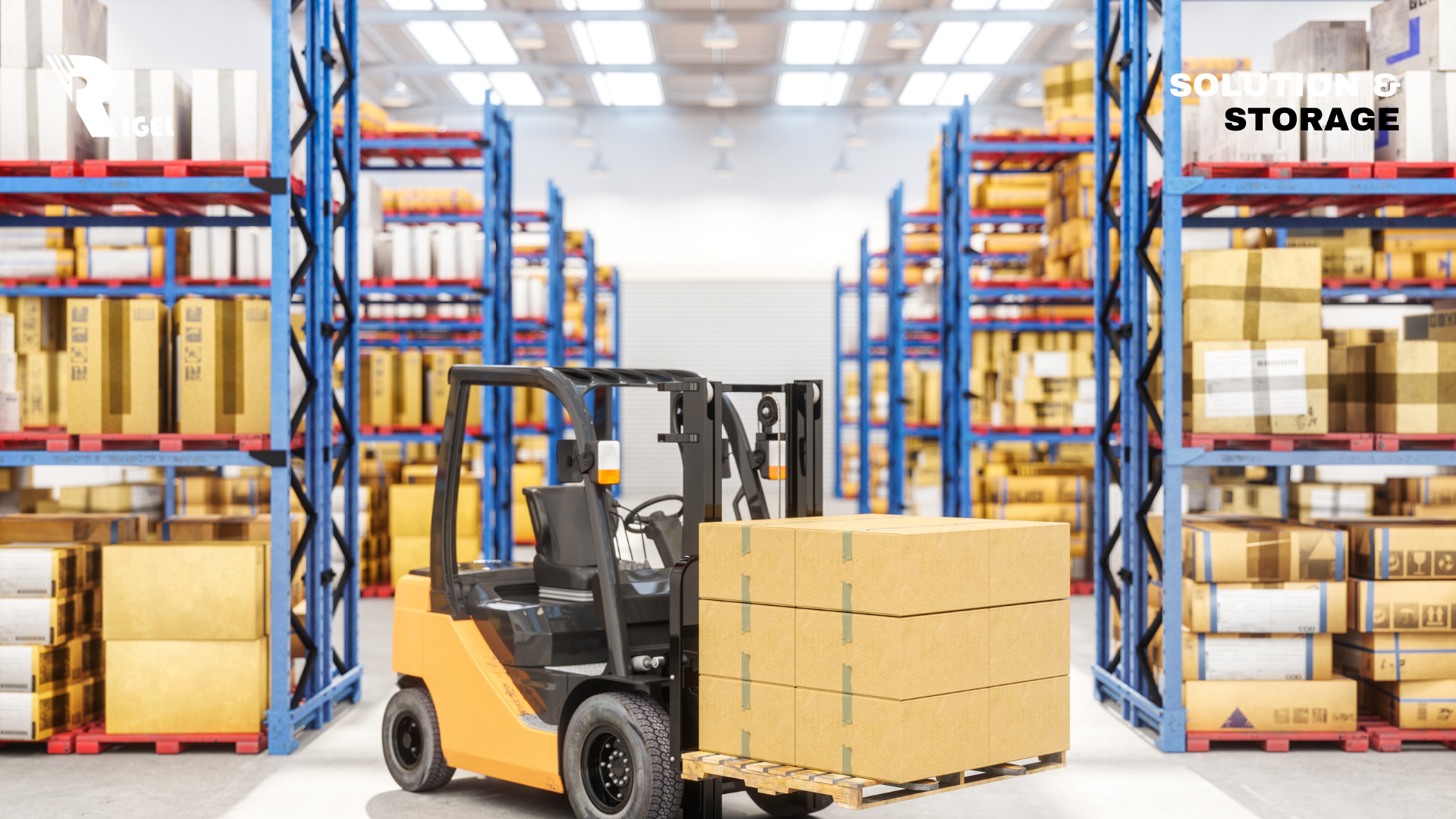Mengenal Forklift Bersama Rigel Perkasa Mandiri